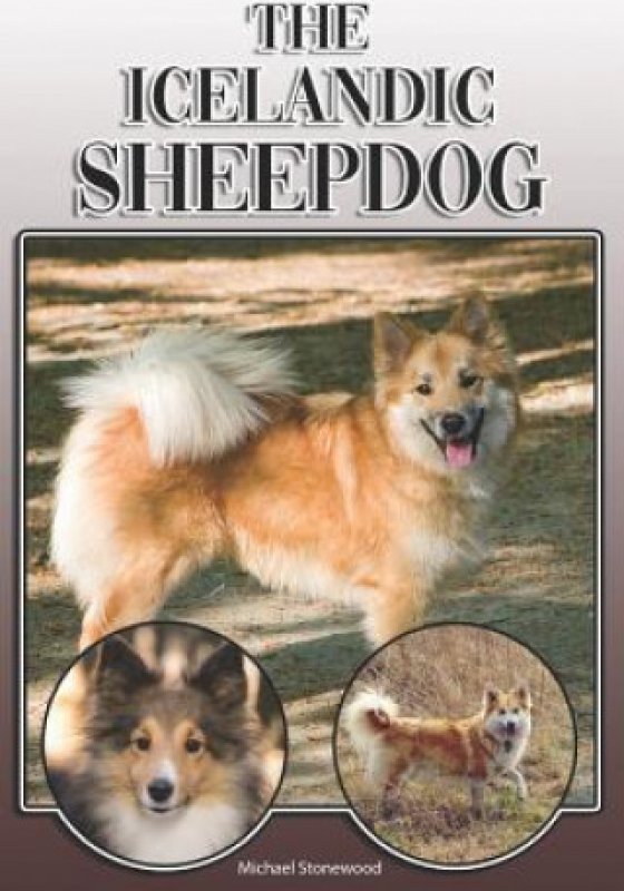 The Icelandic Sheepdog A Complete and Comprehensive Owners Guide To