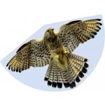 Günther Flugspiele jednošňůrový SOKOL rozpětí 920 mm – Zboží Dáma