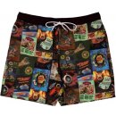 Santa Cruz koupáky SW Ads Swimshort Multi