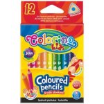 Colorino R33077 12 ks – Zboží Mobilmania