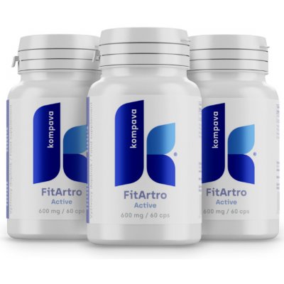 Kompava 3-balení FitArtro Active 600 mg 60 kapslí – Hledejceny.cz