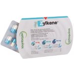 Vetoquinol Zylkene 75 mg pro kočky a malé psy do 10 kg 10 kapslí – Zboží Mobilmania