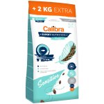 Calibra Dog Expert Nutrition Sensitive Salmon 14 kg – Zbozi.Blesk.cz