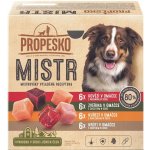 Propesko Mistr Adult filetky s hovězím zvěřinou kuřecím a krůtím v omáčce 24 x 85 g – Zboží Mobilmania