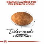 Royal Canin Persian Adult 10 kg – Sleviste.cz