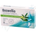 Favea Boswellia s chondroitinem a kolagenem 30 tablet – Hledejceny.cz