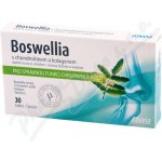 Favea Boswellia s chondroitinem a kolagenem 30 tablet – Sleviste.cz