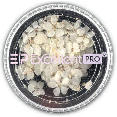 Nehtyprofi Sušený květ na zdobení nehtů krémová 004 50 ks – Zbozi.Blesk.cz