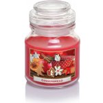 Bartek Candles Gingerbread 130 g – Hledejceny.cz