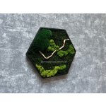 Mia Moss decoration - MECHOVÝ OBRAZ - hexagon 31x31cm mix mechů – Zboží Dáma