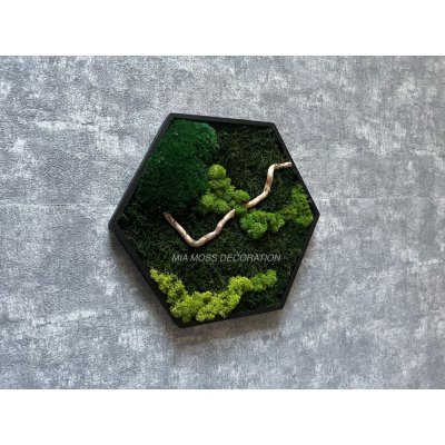Mia Moss decoration - MECHOVÝ OBRAZ - hexagon 31x31cm mix mechů – Zboží Dáma