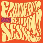 Flamengo Reunion Session - Live LP – Hledejceny.cz