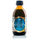 Zdravý Svet Lipozomální hydrolyzovaný kolagen komplex 250 ml – Hledejceny.cz