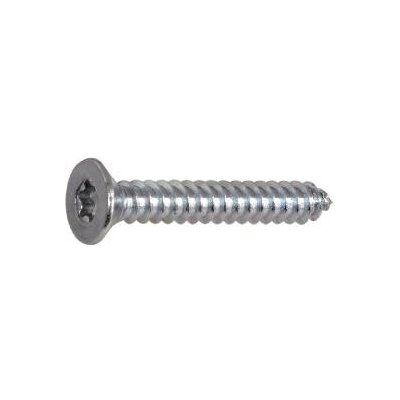 DIN7982C 4.8x 19 Torx25 pozink zápustná hlava vrut do plechu ~ISO14586 (1000 ks) – Hledejceny.cz
