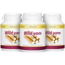 Vito Life Wild Yam 3 x 100 tablet