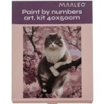 Maaleo 22783 Malování podle čísel Kočka 40 x 50 cm – Hledejceny.cz