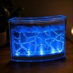 Mravenčí akvárium s podsvícením Ant Quarium Blue – Sleviste.cz