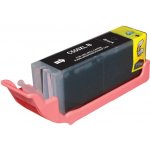 Cybermedia Canon PGI-550PGBK XL – Zboží Živě
