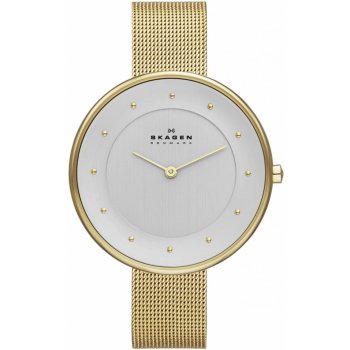 Skagen SKW2141