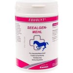 Canina Equolyt Mořské řasy 750 g – Hledejceny.cz