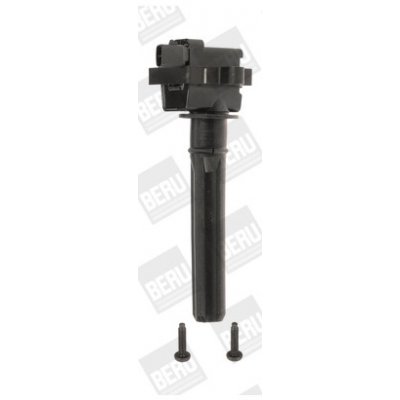 Zapalovací cívka BorgWarner (BERU) ZS431 – Hledejceny.cz