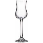 Crystalite Bohemia Sklenice Grappa Gastro na destiláty likér rum 6 x 85 ml – Zboží Mobilmania