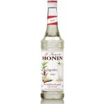 Monin Ginger 1 l – Zboží Mobilmania