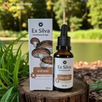Shiitake Ex Silva Houba dlouhověkosti 30 ml – Hledejceny.cz