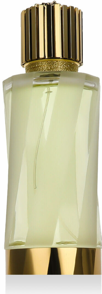 Versace Atelier Versace Cédrat de Diamante parfémovaná voda unisex 100 ml tester