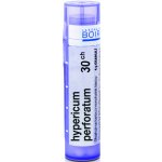 HYPERICUM PERFORATUM POR 30CH GRA 1X4G – Hledejceny.cz