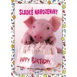 Pohlednice Sladké narozeniny - prasátko – Zboží Mobilmania
