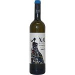 Adegas Terra de Asorei Nai e Señora Albariño suché bílé 2019 13% 0,75 l (holá láhev) – Hledejceny.cz