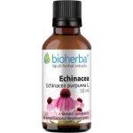 Bioherba Echinacea kapky tinktura 50 ml – Hledejceny.cz