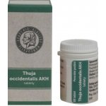 THUJA OCCIDENTALIS AKH POR 1,5MG TBL NOB 60 I – Hledejceny.cz