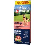 Ontario Adult Large Beef & Brown Rice 20 kg – Zboží Mobilmania