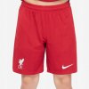 Nike LFC M NK DF STAD SHORT HM 2023/24