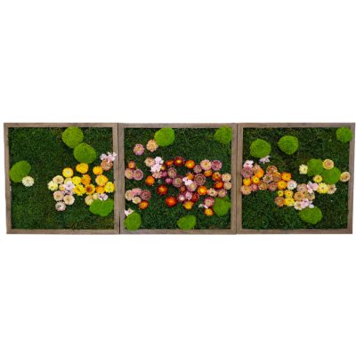 Mechové obrazy TRIO flowers Velikost: 35x25cm – Hledejceny.cz