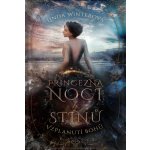 Princezna noci a Stínů - Vzplanutí bohů - Linda Winterová