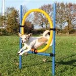 Trixie Překážka kruh – Hledejceny.cz