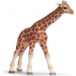 Schleich 14751 Žirafí mládě – Zboží Dáma