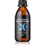 BrainMax Lipozomální Kloubní výživa Acti-Joint 250 ml – Hledejceny.cz
