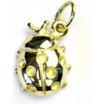 Čištín Zlatý přívěsek žluté zlato beruška přívěsek ze zlata P 435 9374 – Zboží Mobilmania