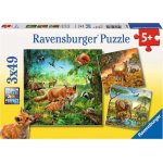 Ravensburger Zvířata v zoo lese nebo v domě 3 x 49 dílků – Sleviste.cz