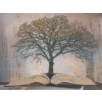 Sestavení osobního rodokmenu Celá ČR – Sleviste.cz