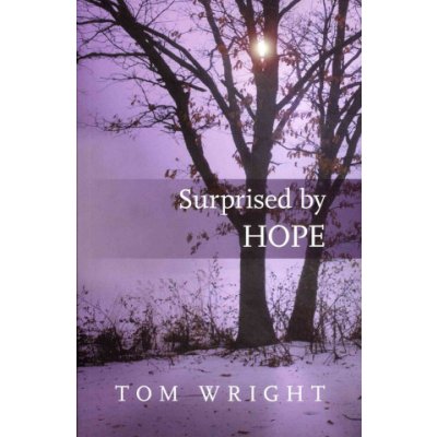 Surprised by Hope - T. Wright