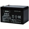 Olověná baterie GOOWEI ENERGY OT9-12 9Ah 12V