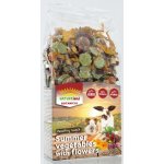 Nature LAND Pochoutka Botanical letní zelenina s květy 100 g – Sleviste.cz