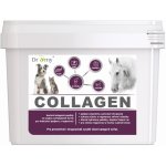Dromy Collagen 2,5 kg – Zboží Dáma