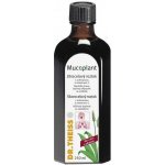 Mucoplant jitrocelový roztok bez cukru s echinaceou a Vitamínem C 250 ml – Hledejceny.cz