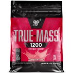 BSN True Mass 1200 4800 g – Zboží Dáma